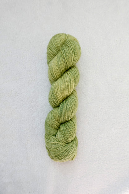 Rebirth - Lotus Oasis Hand Dyed Yarn